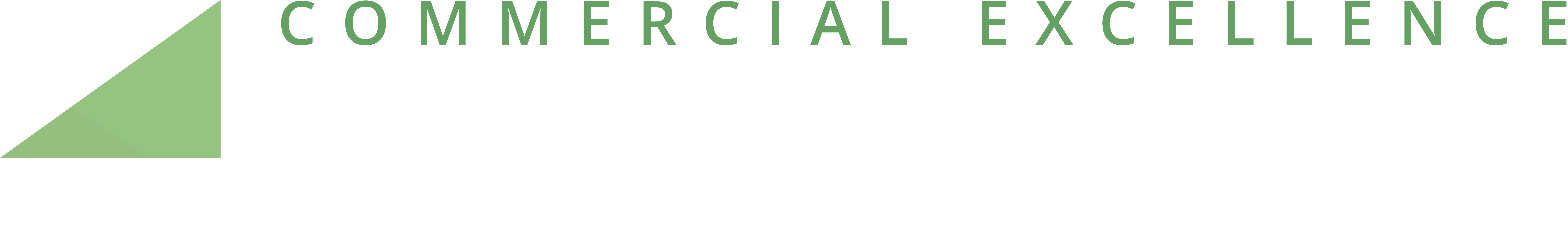 Commercial Excellence Consortium